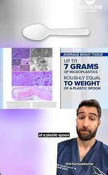 Up to 7g of Microplastics in Our Brains?