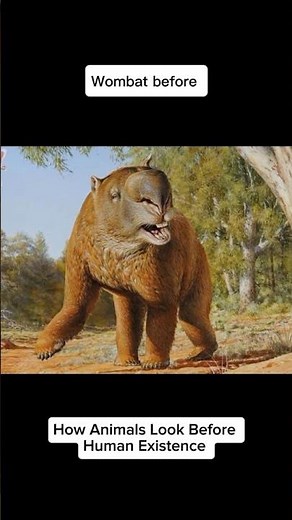 How Marsupial Lions & Giant Wombats Looked Before Humans (Then vs Now)