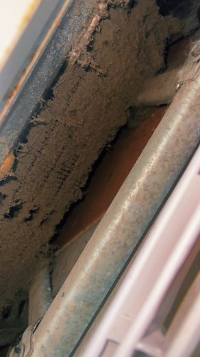 Deep Cleaning Your Fridge Coils: Essential Appliance Maintenance