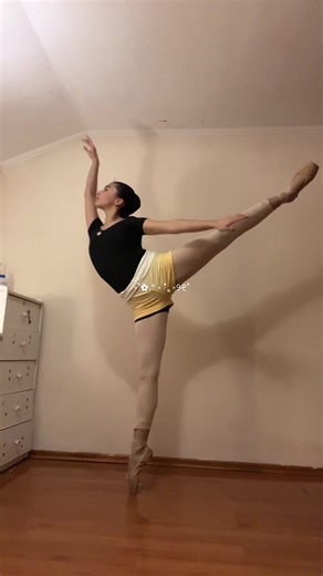 Ballet Dance Video Compilation