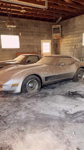 The Ultimate Car Washing Guide