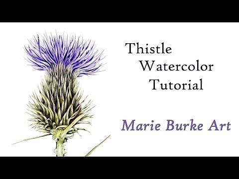 Thistle Watercolor Painting Tutorial - how to paint a thistle