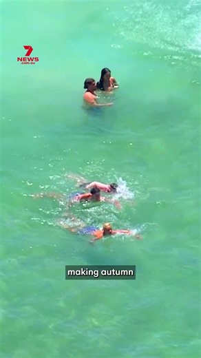 Sydney's summers lasting weeks longer than decades ago