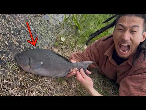 I tried catching and eating diseased fish from a polluted river [Survival]