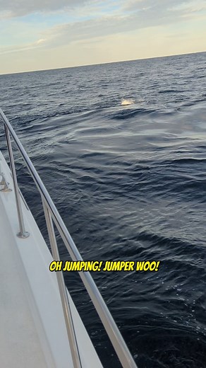 Jumping Marlin Hook Up! Watch till the end! 🎥: @yoursaltwaterguide62 #marlinfishing #jumpingmarlin #marlin #catchandrelease #cabofishing #fishing #fishingtime #fishingdaily #fishingvideos #fishingtiktok #fishingtok | Your Saltwater Guide