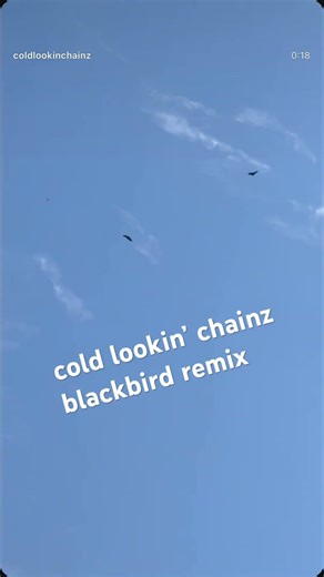 cold lookin’ chainz - blackbird remix