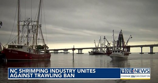 Shrimp trawling argument highlights conflict between recreational, commercial fishing on NC coast