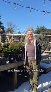 15K views · 99 reactions | Cold Stratification: 4 Ways to Trick Your...