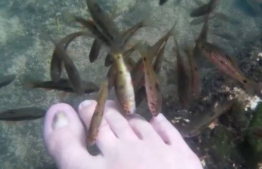 There's a natural spa in the Philippines where hundreds of fish clean your feet. | Insider