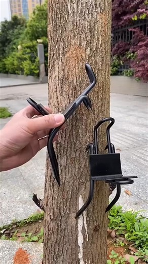 Climbing Tools For Trees