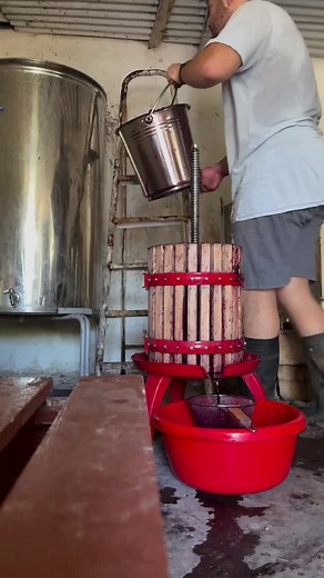 A traditional grape press in use. After harvest, whole grapes are loaded into the press and gentle, continuous pressure is applied to extract the juice while limiting extraction from skins, seeds, and stems. This controlled, slow pressing helps preserve clarity, structure, and the grape’s natural characteristics. 📽@domaineduforgeron . . . . . #winemaking #wineproduction #wineeducation #winemakingprocess #winelife