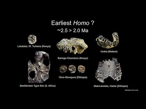 CARTA: Origins of Genus Homo – William Kimbel: Australopithecus and the Emergence of Earliest Homo