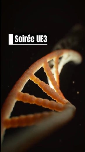 Soirée UE3