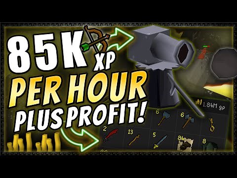 New Best Cannon Spot for Pures! 85k XP AND Profit OSRS