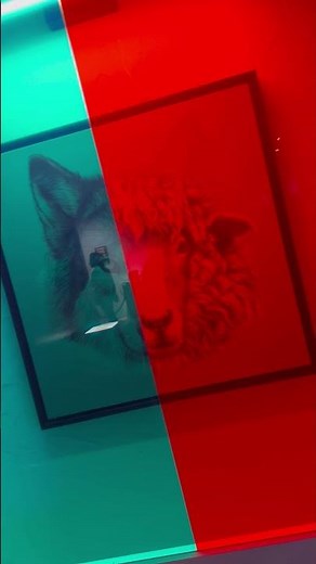 #museum #science #experiment Museo de las ilusiones (Alicante)
