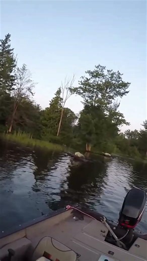 ontario boat launch big gull lake boat launch #boatlaunch #launch #ontario #ontariofishing #biggull