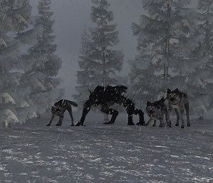 Cameraman Claims This Creature is Half Human and Half Dog