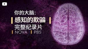 [中配]你的大脑：感知的欺骗 | 完整纪录片 | NOVA | PBS - NOVA PBS Official