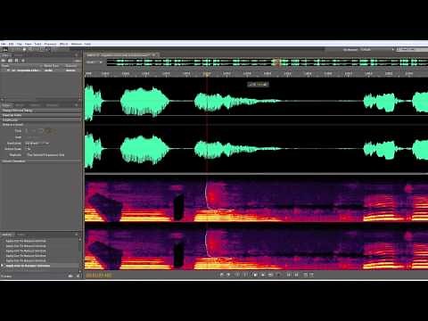 Adobe Soundbooth: Remove dog barks, sneezing etc.