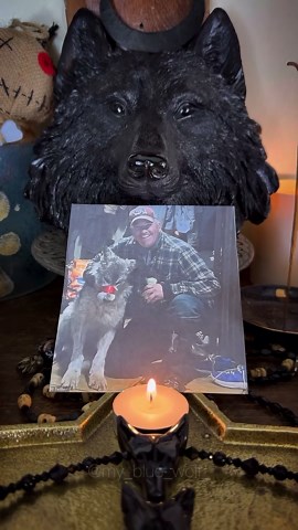 @my_blue_wolf_ | The Blue Wolf Takes Revenge where Wyoming does not… A black ‘comedy’ piece based on recent events surrounding the murder of wolf cub... | Instagram