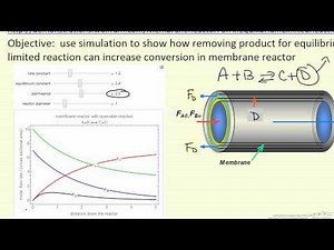 Reversible Reaction in a Membrane Reactor (Interactive Simulation)