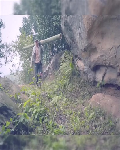 🎋🏡 Bamboo Survival Houses in the Wild | Building Traditional Bamboo Shelters Deep in the Forest 🌿 Deep in the forest, a traditional bamboo shelter is built using natural materials and primitive bushcraft skills. Experience cooking over a fire, surviving in the wilderness, and living off-grid surrounded by nature. 🔥🌳 🏕️ Living in harmony with nature 🎋 Bamboo shelter building 🔥 Cooking over a fire 🌿 Primitive bushcraft skills 🌲 Off-grid wilderness living #BambooShelter #Bushcraft #Surviv