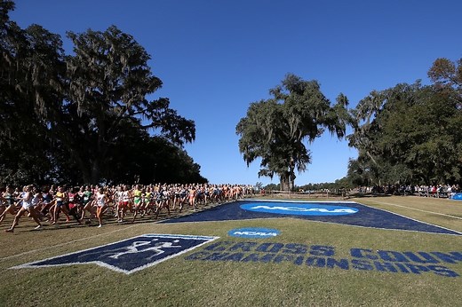 2024 DI cross country regional championships: Results, auto bids, highlights