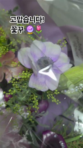 열심히 살게요🔮🌷#쇼츠 #shorts #뇌전증 #세계뇌전증의날 #뇌전증지원센터 #연대 #인턴 @뇌전증지원센터-c3d #epilepsy #퍼플이와나 #꽃꾸