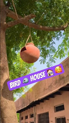 Homemade Bird 🕊️ House 🏠 | Easy DIY with Love & Nature
