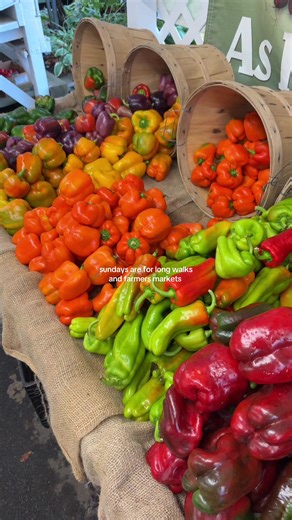 Visit Your Local Farmers Market This Fall