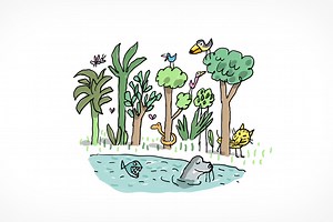 C’est quoi la forêt amazonienne ? - 1jour1actu.com