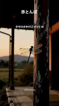 [Red Dragonfly] Nostalgic Showa-era Nursery Rhyme #ShowaMemories