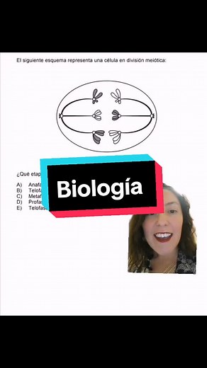 Meiosis: Etapas y Características en Biología
