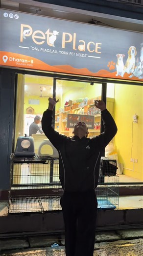 🐾 Back again, but in a NEW location! 🐶🐱 @Pet Place is officially REOPENED in Dharan! ✨ From pet food and treats to toys, grooming essentials, accessories & more — everything your furry friends need, all in one place. 🐾 📍 New location: Gautam path, Dharan Come explore the new space and shop for your little companions! 🐶🐱 #fyp #petshop #dharan
