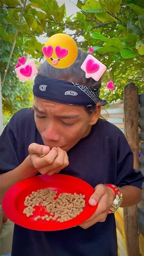 Hollman eats dog food