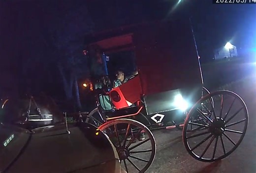 ‘We’ve got a drunk Amish guy’: Horse-drawn buggy driver charged after hitting deputy’s cruiser