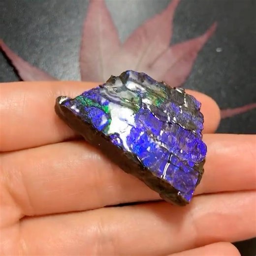 Rare Ammolite Specimen – Fiery Red with Green Flash Edge #ammolite #naturalamethyst #gemstone