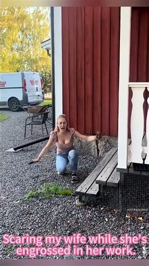 funny, scare, prank, Imao #prank #scared #funny #lmao #fyp