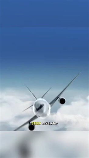 Flash Airlines Flight 604 Plane Crash Explained in 30 Seconds | Aviation Breakdown ✈️🔥#planecrash