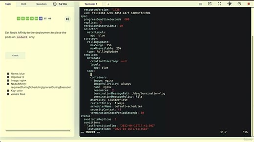 来自udemy最火的kubernetes课程 30.Node Selector and Affinity &Lab