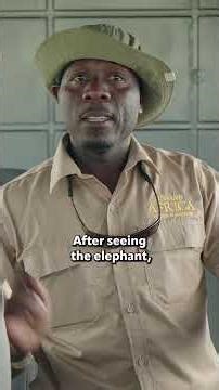 First Safari Drive in Etosha… We Saw 3 of the Big Five
