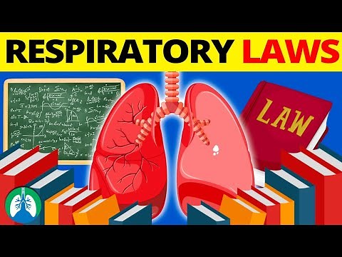 Laws of the Lungs and Respiratory System *EXPLAINED* 🫁