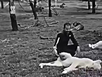 LOYALTY IS NOT MEASURED BY WHAT YOU SEE IN FRONT OF YOUR EYES,BUT BY WHAT HAPPENS BEHIND YOUR BACK‼️