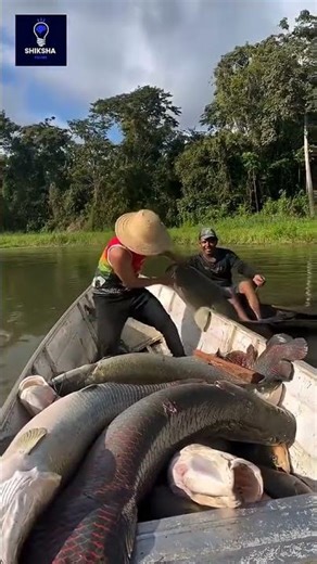 This fish is very azming and it’s a very expensive