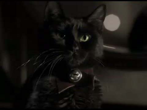 El gato negro (Masters of Horror) - Trailer