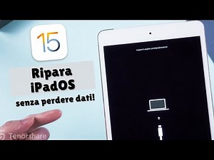 [5 metodi] Come risolvere support.apple.com/ipad/restore su iPadOS 15💡