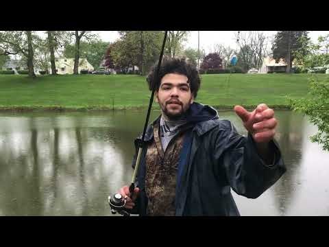 Fishing millers pond elmira ny