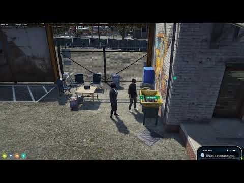 GTA V Roleplay/RP FiveM | Gameplay | PC