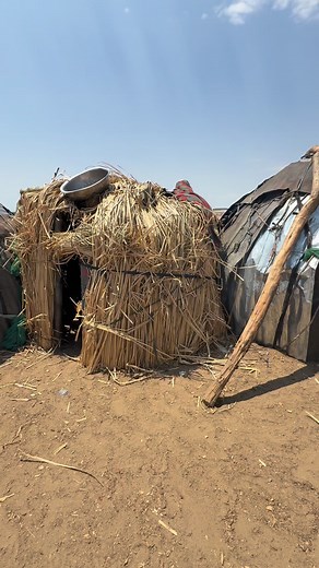 The Dassanech man dressed for the Dimi ritual—the initiation ceremony that marks the passage to adulthood and celebrates fertility—typically wears highly symbolic attire. The initiate wears traditional furs or fabrics, beaded necklaces, and sometimes a headdress made of feathers or animal skin. He also carries a ceremonial staff or spear, and his body may be decorated with clay or ash. The entire ensemble represents strength, maturity, and a connection to the ancestors during Dimi. #fblifestylet