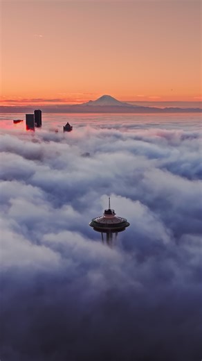 Magical Foggy Mornings in Seattle